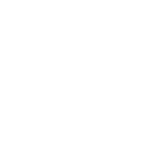 gepic jorneys logo white